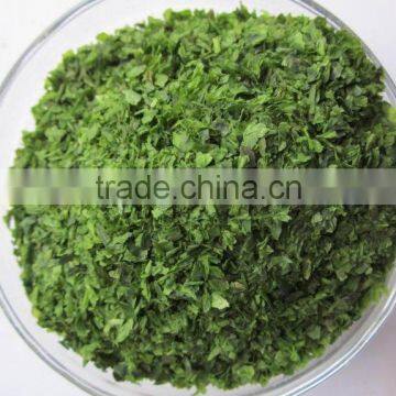 Seaweed Food Roasted Green Seaweed Ulva Lactuca or Sea Lettuce