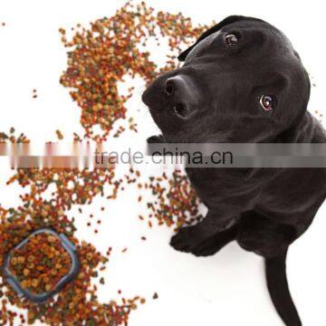 Large Single Screw Pet Food Machin photo-4