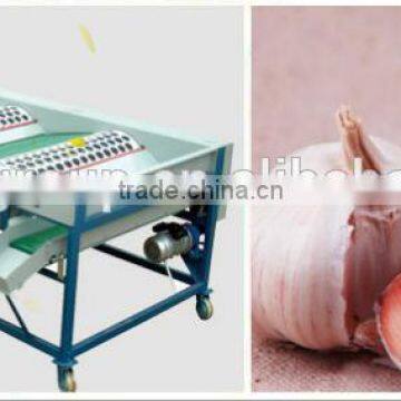 Garlic /Vegetable and Fruit Cleaning and Grading/Sorting Machine photo-4