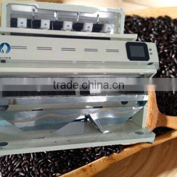 MINGDER Black Rice Corlor Sorting Machine With CCD photo-4