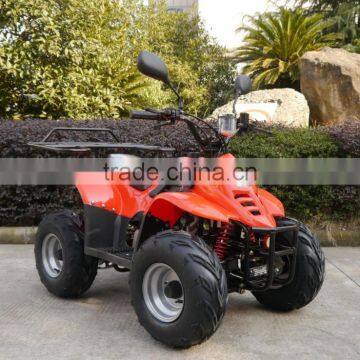 (JLA-02-01)chinese Quad Bike 49cc Mini Atv 90cc Mini Atv & Quad photo-4