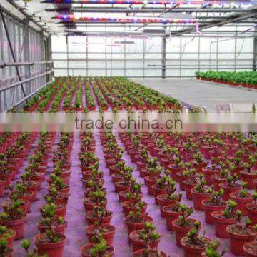 MarsHydro 60cm,120cm Led Grow Bar ETL,CE,RoHS Certification Grow Light Bar Strip Full Spectrum photo-6