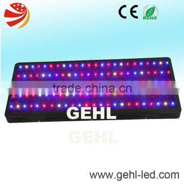Promotional Horticulture LED Grow Lamps for Flower/Veg/Plants