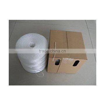 Tomato Twine for Florida Weave Cultivation photo-6