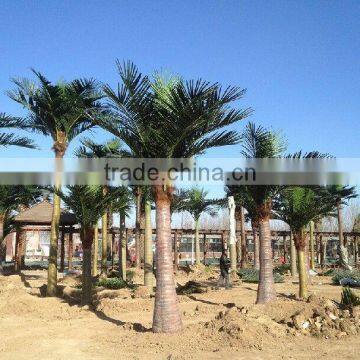 Hot sale artificial coconut tree,faux coconut tree