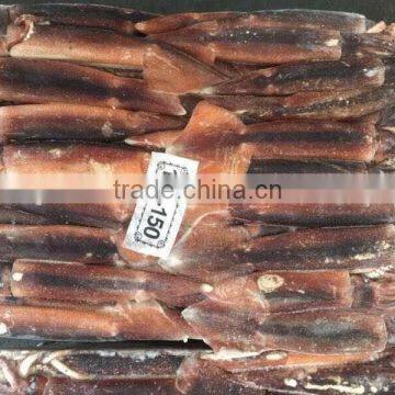 Frozen Illex Argentinus Squid for Sale photo-4