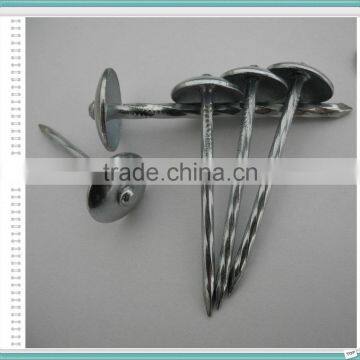 50 Jute Bag Roofing Nails