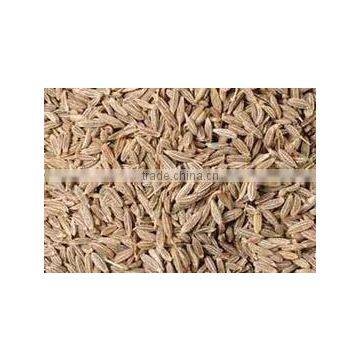 Cumin Seeds photo-3