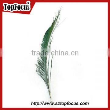 Wedding Dresses Decoration Indian Wholesale Natural Peacock Feather