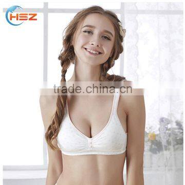 HSZ-2247 Free Panties Sample Stylish Lingerie Cotton Ladies Comfortable Underwear New Style Women Sexy Fancy Hot Bra And Panty photo-2