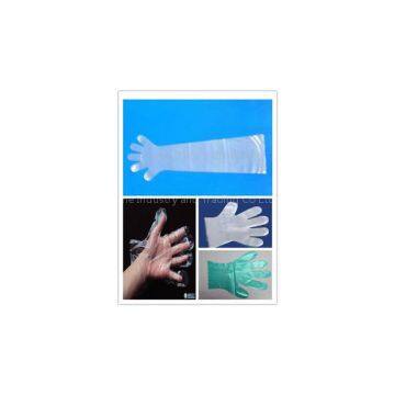 Disposable PE Gloves  Offer