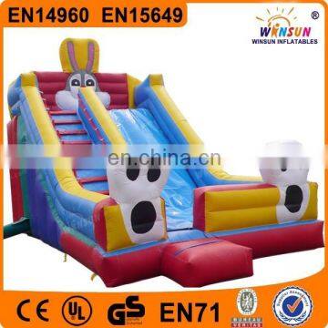 2015 China Newest Inflatable Water Slide for Adult and Kids on Sale photo-3
