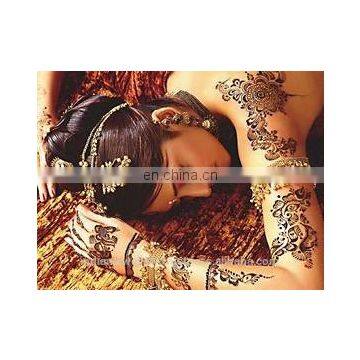 Indian Henna Cone Manufacturer, Natural Henna Tubes Exporter, Henna Body Art photo-5