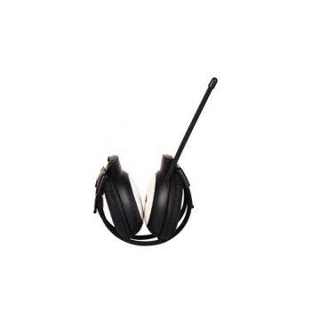 FM/Audio Headset