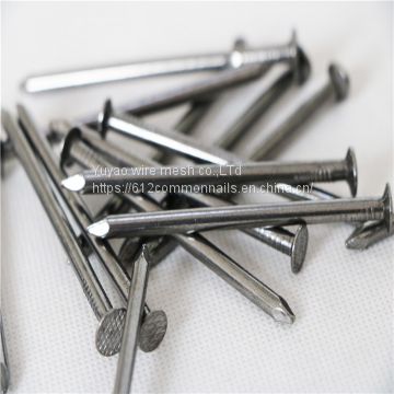 Common wire Nail for sale