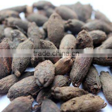 raw clove, clove mother