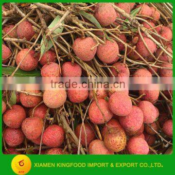 Supply new crop frozen lychee