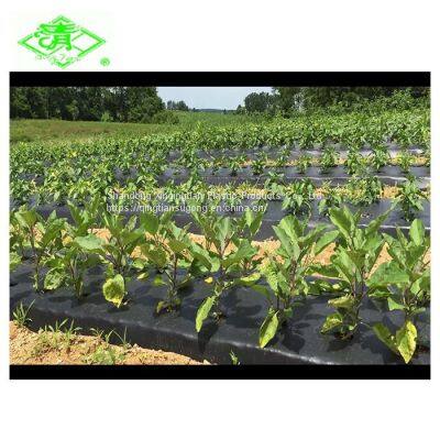 Top Manufacturer Most Popular Best Selling Agricultural Plastic Film Mulching Film