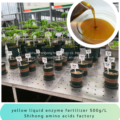 Enzymatic Amino Acid Liquid 500g/L OMRI 8-0-0 Organic Liquid Fertilizer for Field Cash Crops photo-3