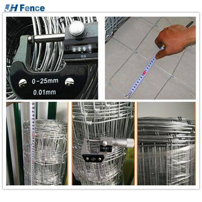 Hot Dipped Galvanized Green PVC Coated Iron Wire for Corrosion Resistance and Aesthetic Appeal in Farm Security Farm Fence Wire photo-4