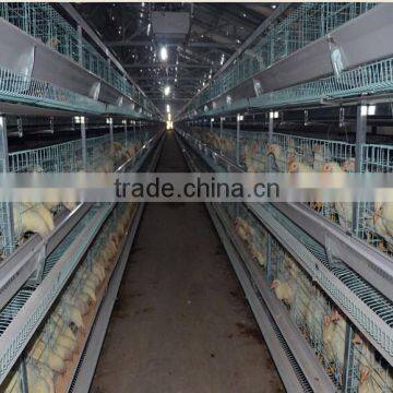 H frame broiler battery cages for USA customer