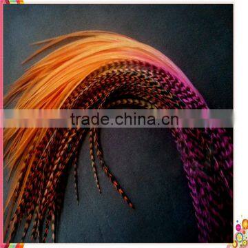 2014 New Arrival hot selling ombre feather hair extension