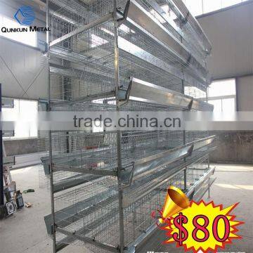 Poultry Farming Equipment H Type Layer Chicken Cage With Automatic System
