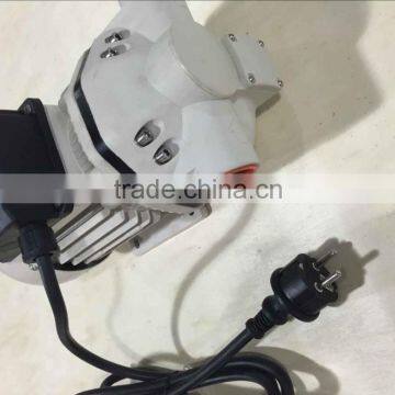110V ac Water Pump