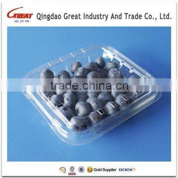 Good Quality Disposable Plastic Blueberry Fruit Packaging Container 125Gram photo-6