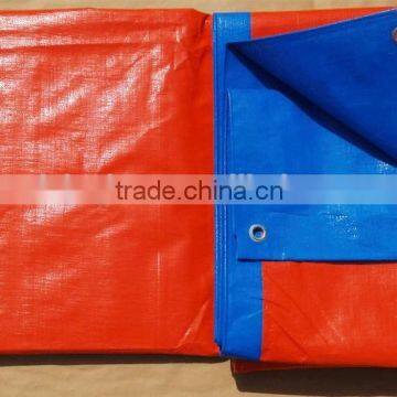 Waterproof Plastic Tarpaulin Drop Cloth photo-6
