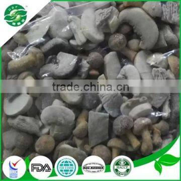 Iqf Frozen Mixed Mushroom (shiitake Nameko Oyster) photo-5