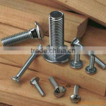 carriage bolts /fish bolt DIN 603