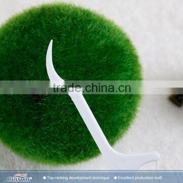 2016 Best Selling Products Dental Floss Toothpick photo-4