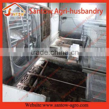 Fashionable Best-Selling commercial quail cages for layer quail