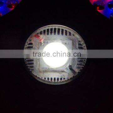 Creex CXA 3070 COB 300w LED Grow Light photo-3