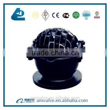Cast Iron Foot Valve photo-2