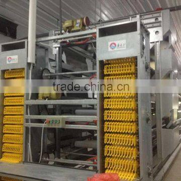 automatic chicken poultry battery cages