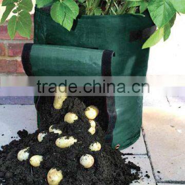 garden vegetables grown planter potato grow bag