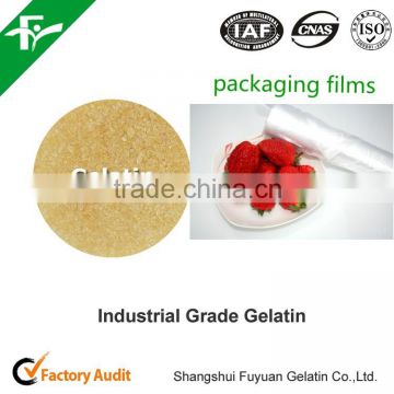 Industrial Gelatin for paper making/ handicraft glues/match/wooden furniture/forage