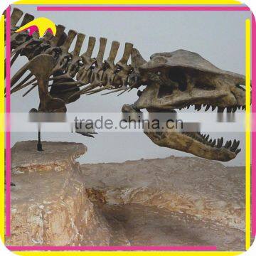 KANO5998 Museum High Quality Fiberglass Dinosaur Stegosaurus Fossil