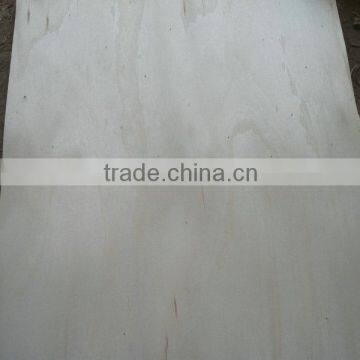 Veneer Core Poplar photo-3
