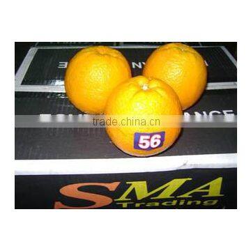 Sma Trading For Import And Export And Commercial Agencies