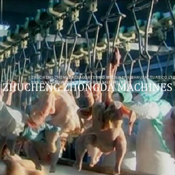 FULL CHICKEN SLAUGHTERING MACHINE Line photo-3