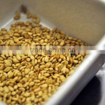 Roasted Sesame Seed Price