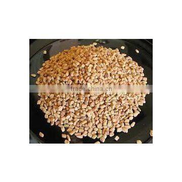 Fenugreek Seed Exporters photo-4
