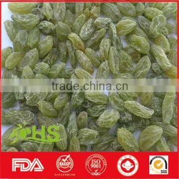 Green red black and golden raisin for wholesale