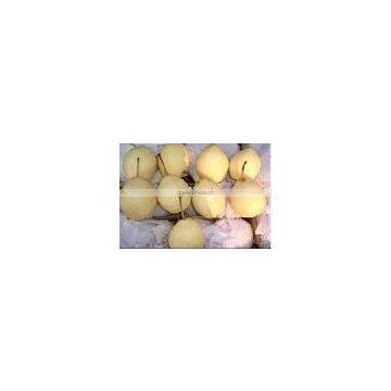 New Crop Ya Pear Fruit In China Company