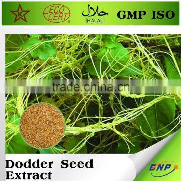 BNP GMP ISO supplier dodder seed extract powder---BNP