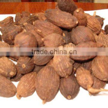 Premium quality for Black Cardamom from Vietnam