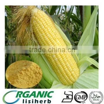 Yellow corn high protein powder with animal feed grade